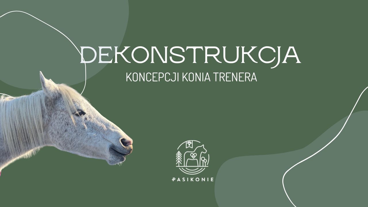 Dekonstrukcja koncepcji konia trenera