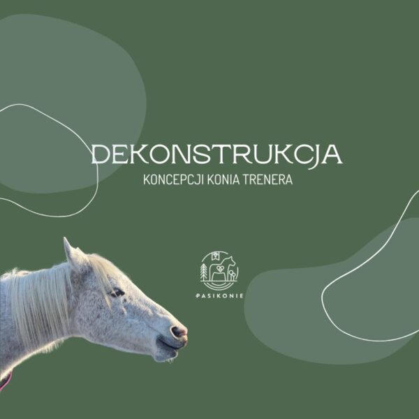 Webinar PRO: Dekonstrukcja koncepcji konia trenera.