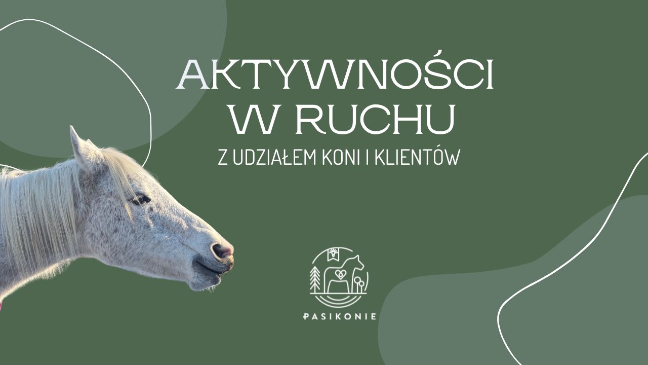 Aktywności w ruchu z udziałem koni i klientów