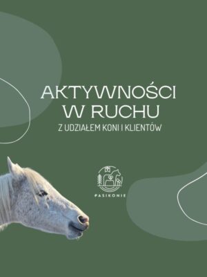 11 Webinar PRO: Aktywności w ruchu z udziałem koni i klientów.