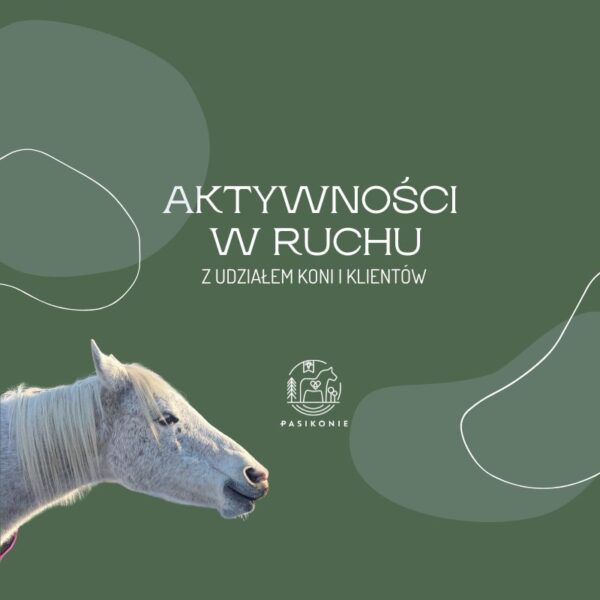 11 Webinar PRO: Aktywności w ruchu z udziałem koni i klientów.