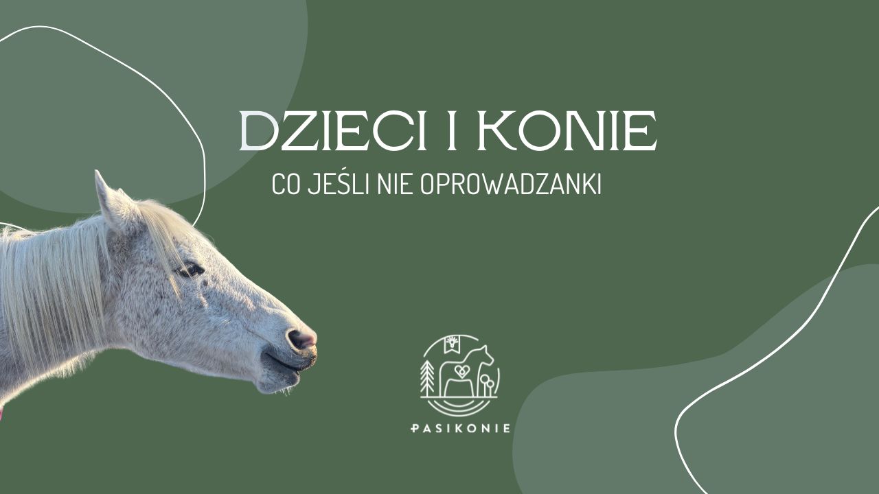 Dzieci i konie – co jeśli nie oprowadzanki?