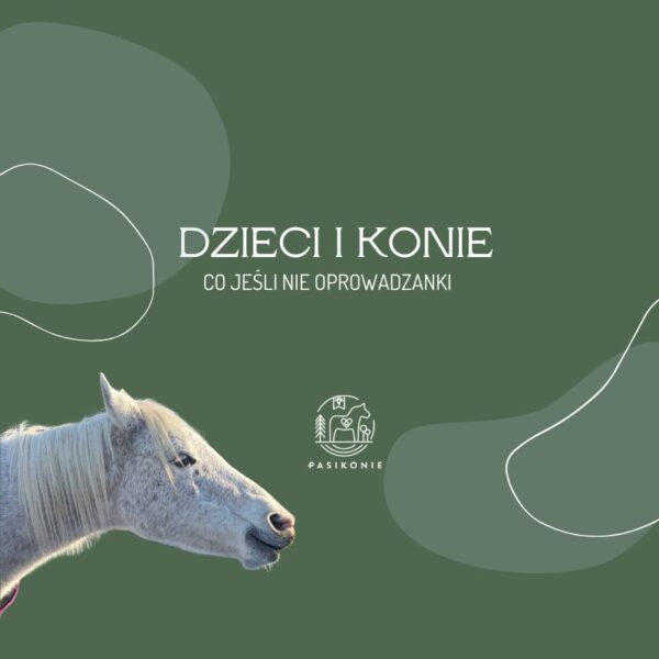 Webinar PRO: Dzieci i konie - co jeśli nie oprowadzanki?