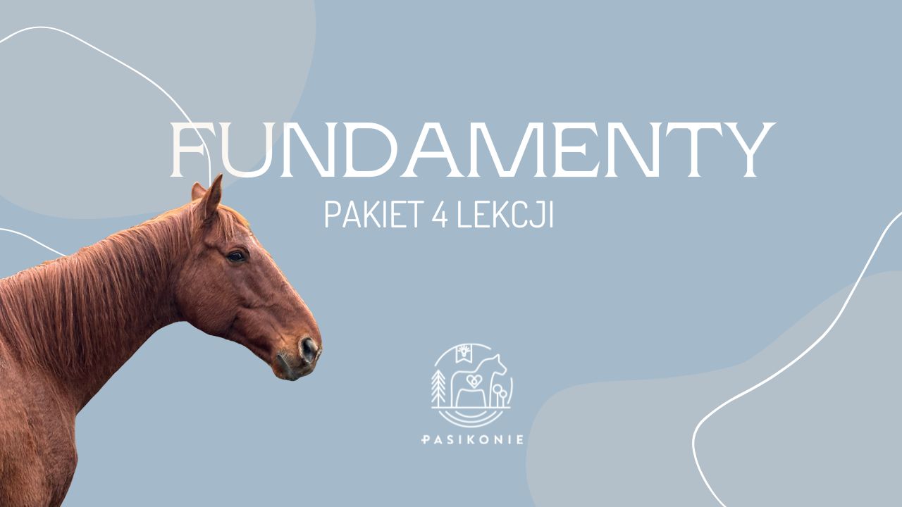 FUNDAMENTY – 4 lekcje PRO