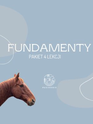Fundamenty - pakiet 4 lekcji PRO