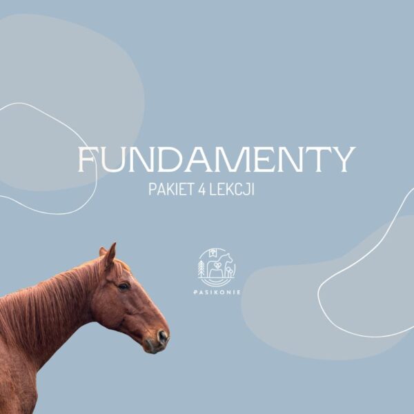 Fundamenty - pakiet 4 lekcji PRO