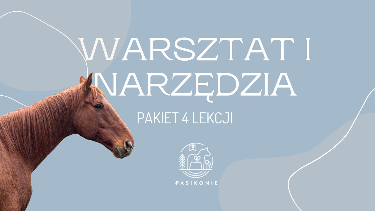 WARSZTAT I NARZĘDZIA – 4 lekcje PRO