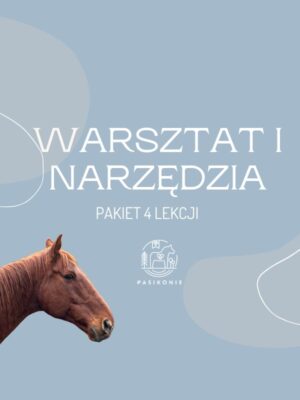 Warsztat i narzędzia - pakiet 4 lekcji PRO