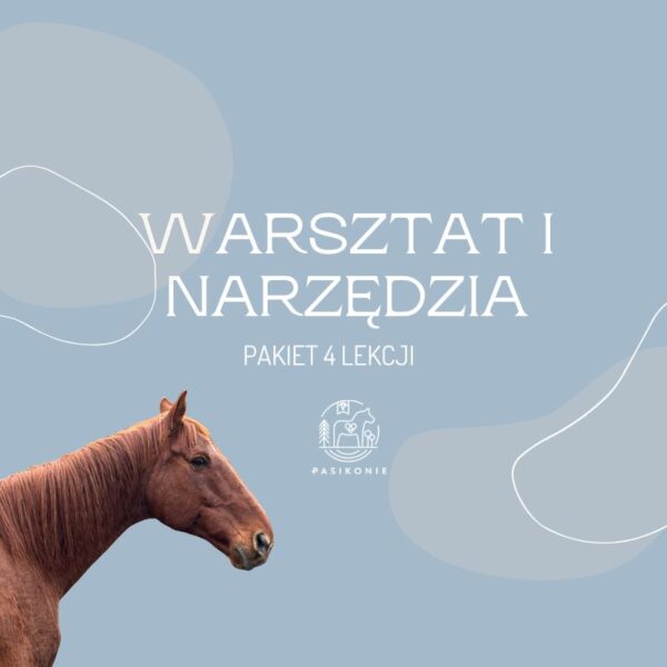 Warsztat i narzędzia - pakiet 4 lekcji PRO