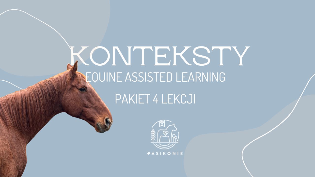 KONTEKSTY – 4 lekcje PRO