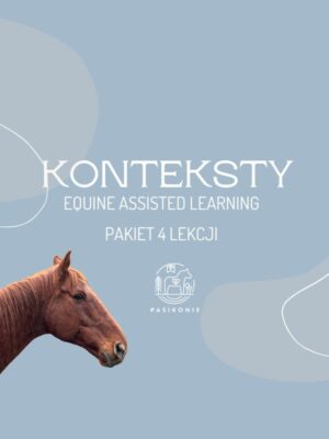 Konteksty - pakiet 4 lekcji PRO