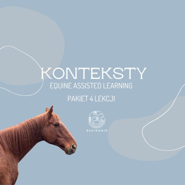 Konteksty - pakiet 4 lekcji PRO