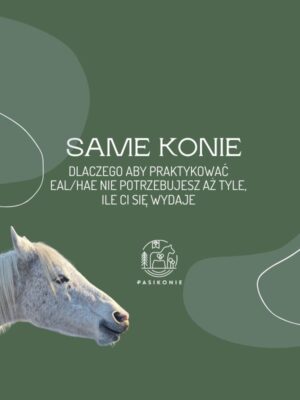 3 Webinar PRO: Same konie. Dlaczego aby praktykować EAL HAE nie potrzebujesz aż tyle, ile ci się wydaje