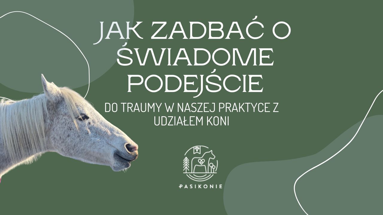 Jak zadbać o świadome podejście do traumy w naszej praktyce z udziałem koni
