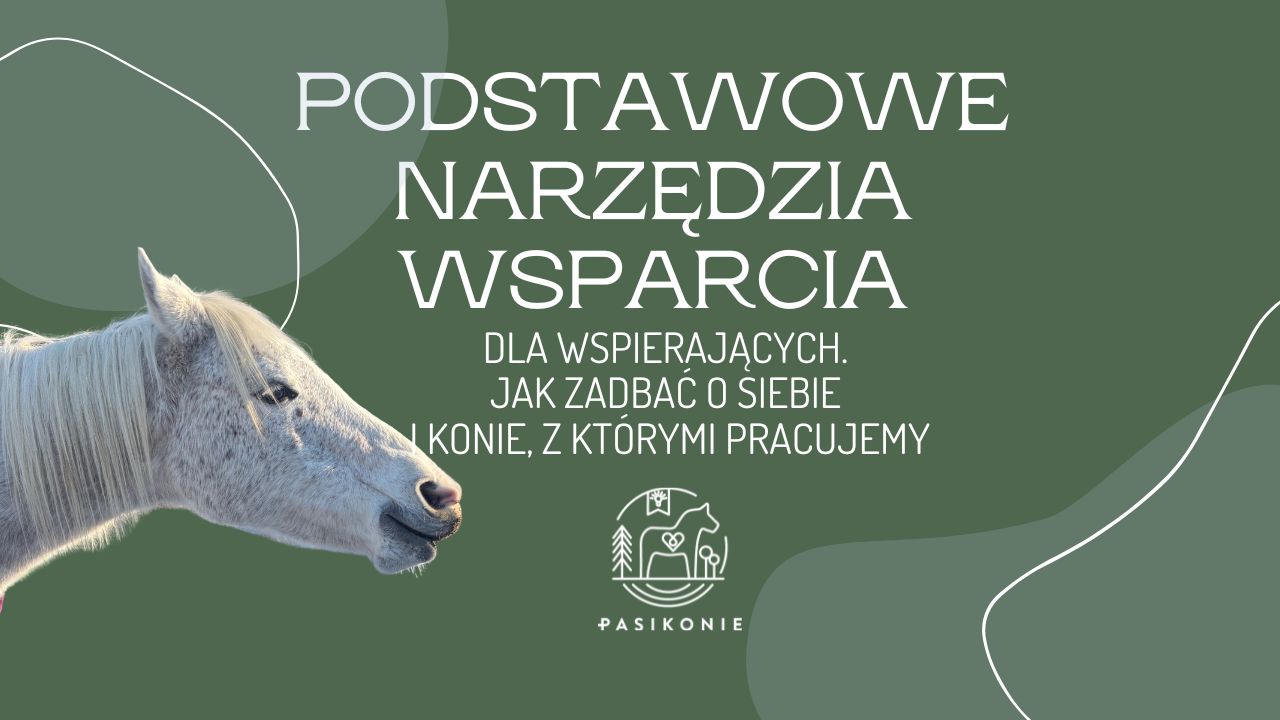 Podstawowe narzędzia wsparcia dla wspierających. Jak zadbać o siebie i konie, z którymi pracujemy