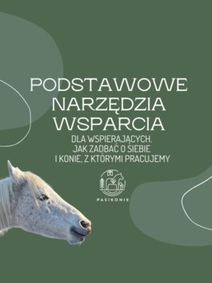 Webinar PRO: Podstawowe narzędzia wsparcia dla wspierających (BHP emocjonalne).