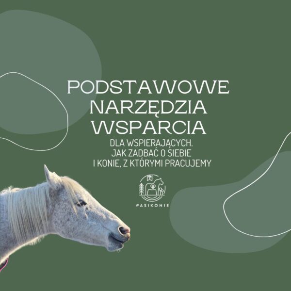 Webinar PRO: Podstawowe narzędzia wsparcia dla wspierających (BHP emocjonalne).
