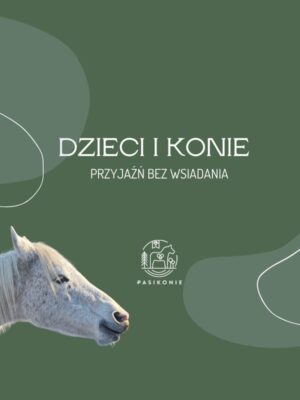 6 Webinar PRO: Dzieci i konie - przyjaźń bez wsiadania.