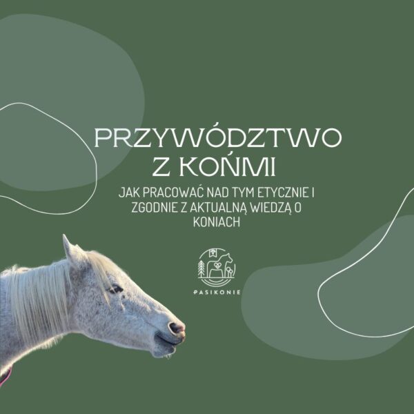 Webinar PRO: Przywództwo z końmi - jak pracować nad tym etycznie i zgodnie z aktualną wiedzą o koniach