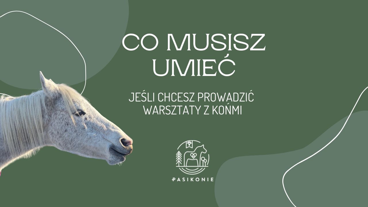 Co musisz umieć jeśli chcesz prowadzić warsztaty z końmi dla ludzi.
