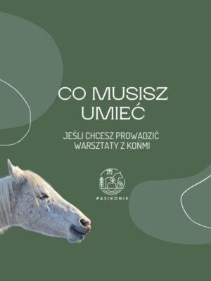 Webinar PRO: Co musisz umieć, jeśli chcesz prowadzić warsztaty?