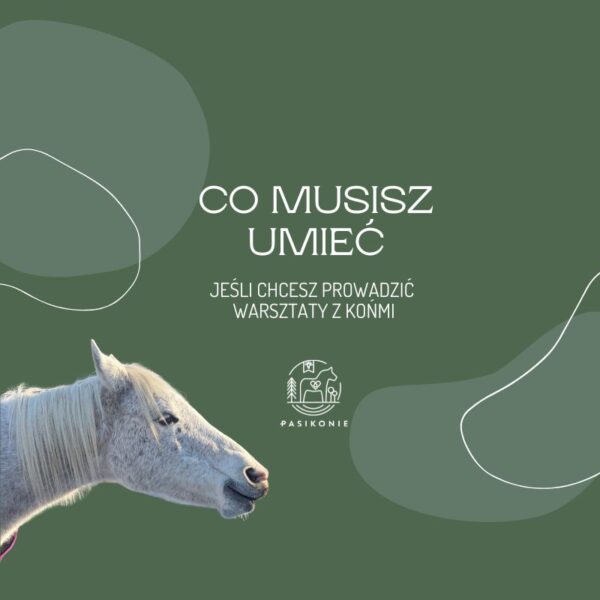 Webinar PRO: Co musisz umieć, jeśli chcesz prowadzić warsztaty?