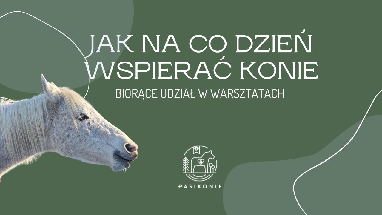 Jak na co dzień wspierać konie biorące udział w warsztatach