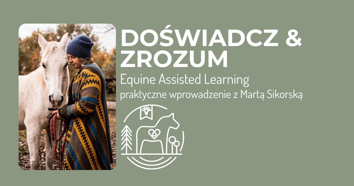 Doświadcz i Zrozum Equine Assisted Learning
